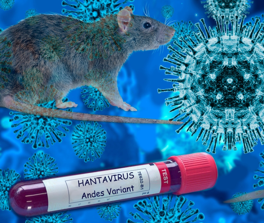 Hantavirus